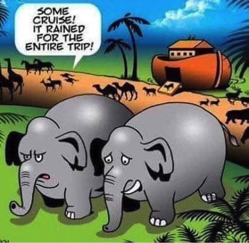 Elephant Ark Joke